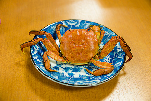 アートキャンプ2015:「2日め 9月20日」