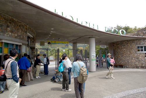 4月アートルーム：「春の動物園」