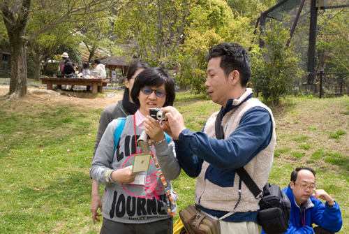 4月アートルーム：「春の動物園」