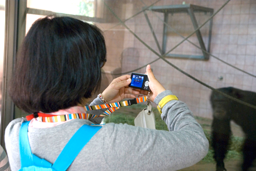 4月アートルーム：「春の動物園」