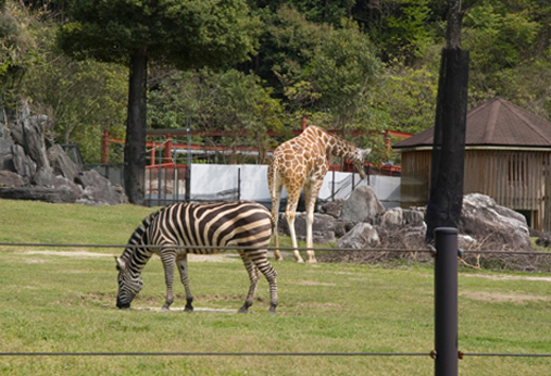 4月アートルーム：「春の動物園」