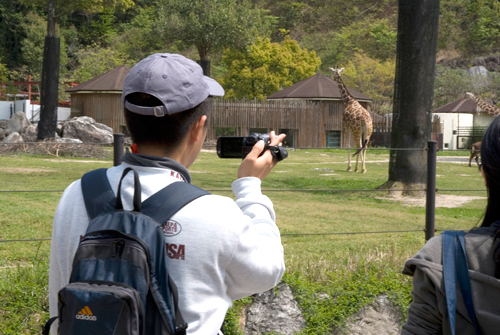 4月アートルーム：「春の動物園」