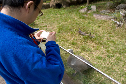 4月アートルーム：「春の動物園」