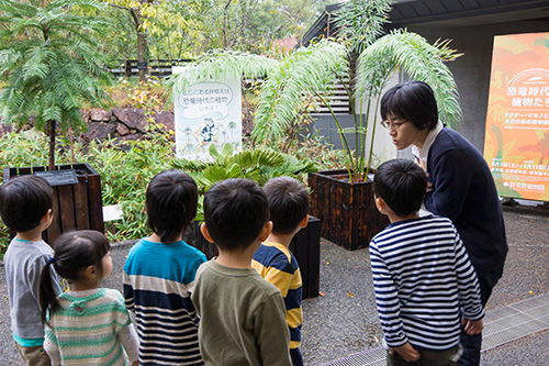 「尾﨑憧汰郎とつくる ねんどワークショップ in 牧野植物園（11/14）」