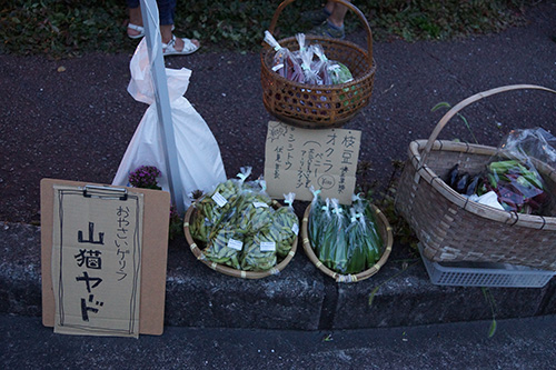 はりまやナイト2015