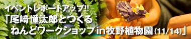 「尾﨑憧汰郎とつくる ねんどWS in 牧野植物園（11/14）」